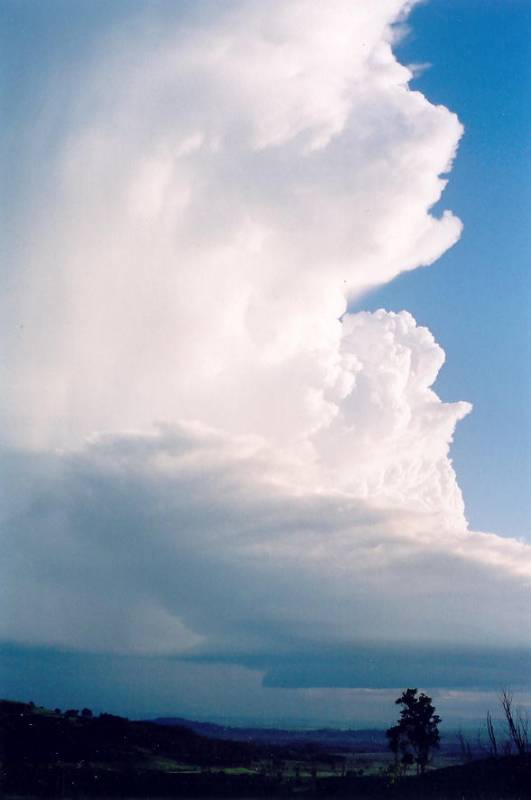 thunderstorm cumulonimbus_incus : Meerschaum, NSW   20 October 2003