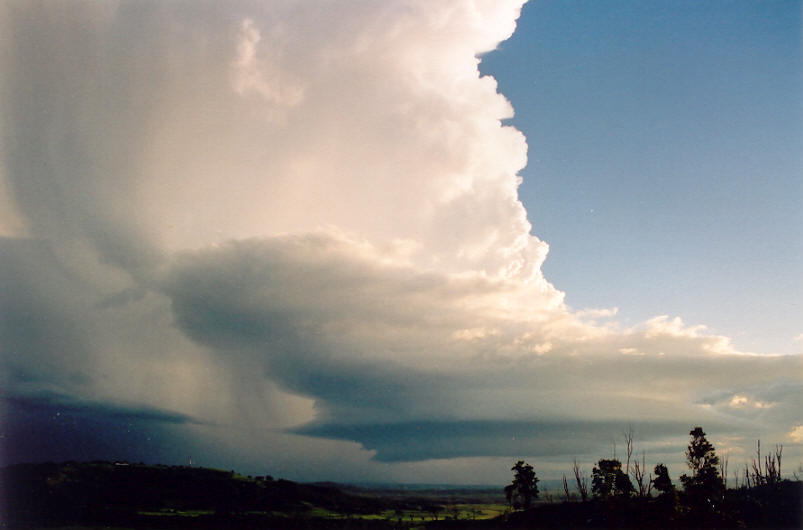 updraft thunderstorm_updrafts : Meerschaum, NSW   20 October 2003