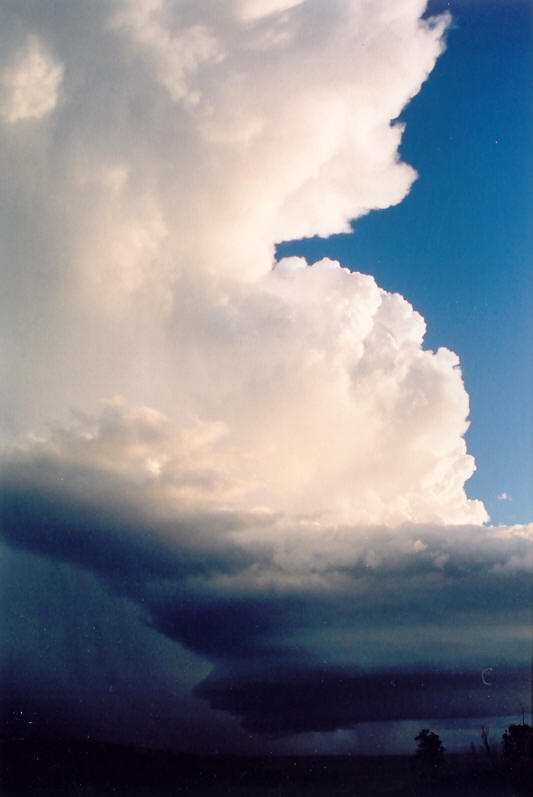 updraft thunderstorm_updrafts : Meerschaum, NSW   20 October 2003