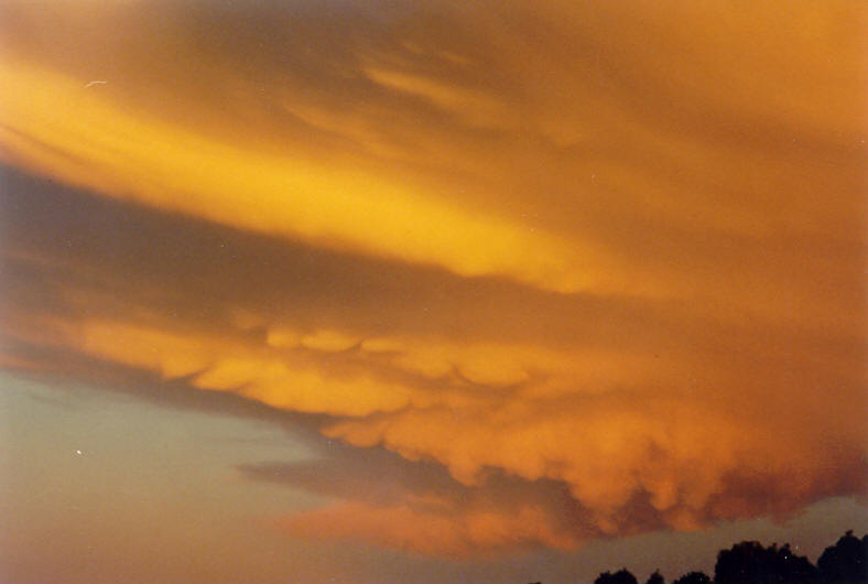 anvil thunderstorm_anvils : McLeans Ridges, NSW   20 October 2003