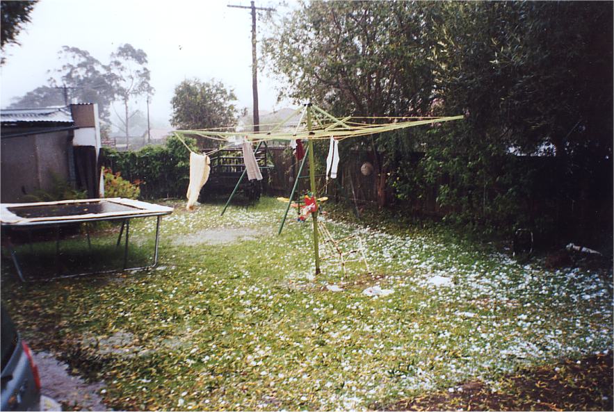 contributions received : Riverstone, NSW<BR>Photo by Christine Cawsey   25 October 2003