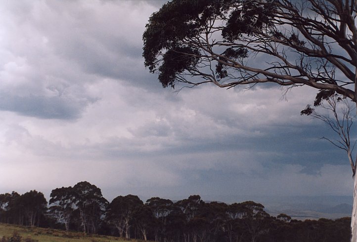 contributions received : Mt Lambie, NSW<BR>Photo by Geoff Thurtell   16 November 2003