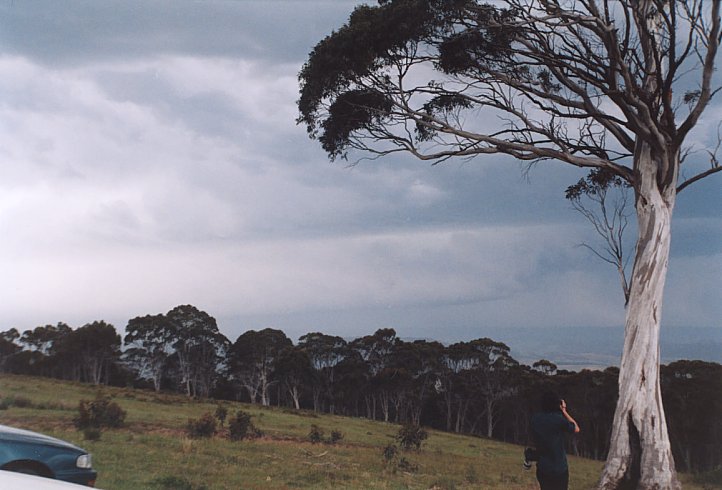 contributions received : Mt Lambie, NSW<BR>Photo by Geoff Thurtell   16 November 2003