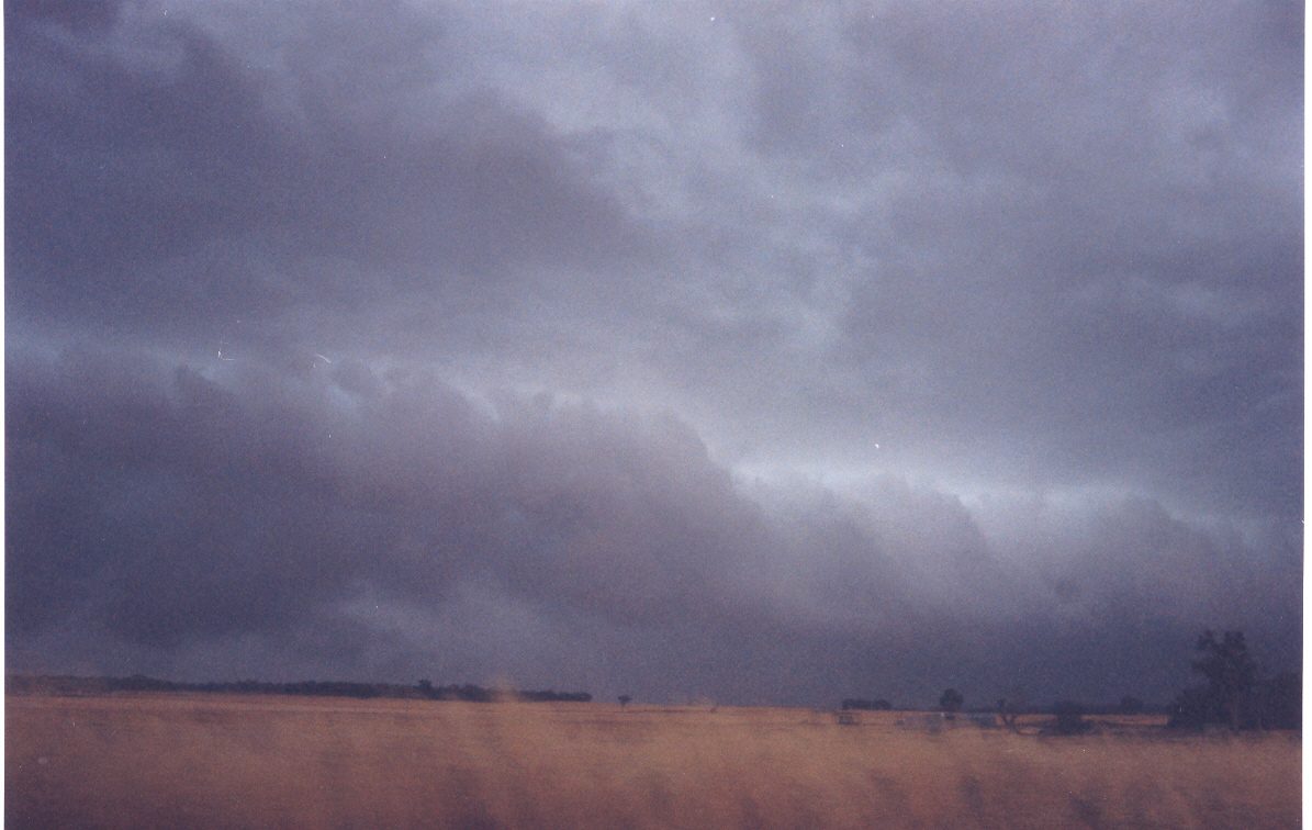 contributions received : Temora, NSW<BR>Photo by Maarten Brandt   21 November 2003