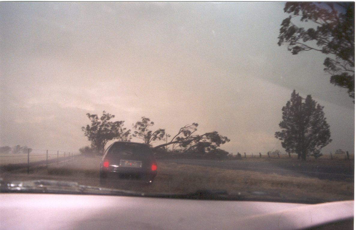 contributions received : Temora, NSW<BR>Photo by Maarten Brandt   21 November 2003