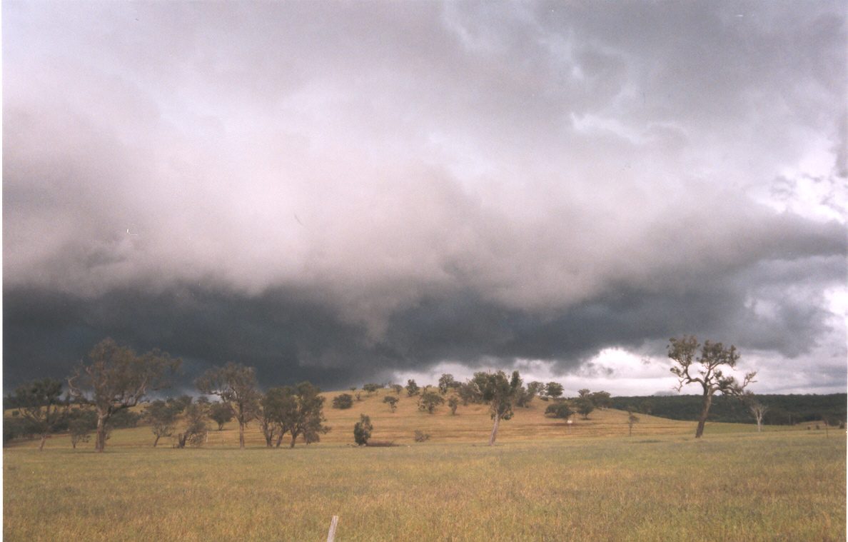 contributions received : N of Dunnedoo, NSW<BR>Photo by Maarten Brandt   22 November 2003