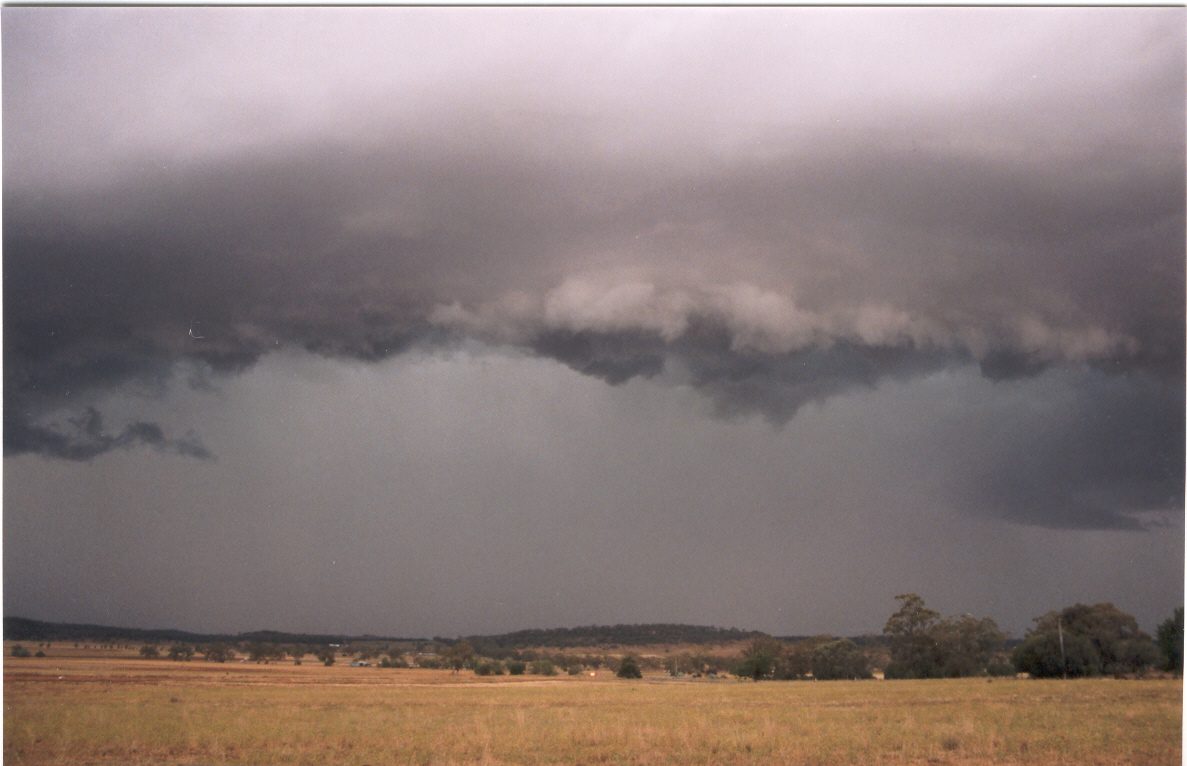 contributions received : E of Mullaley, NSW<BR>Photo by Maarten Brandt   22 November 2003