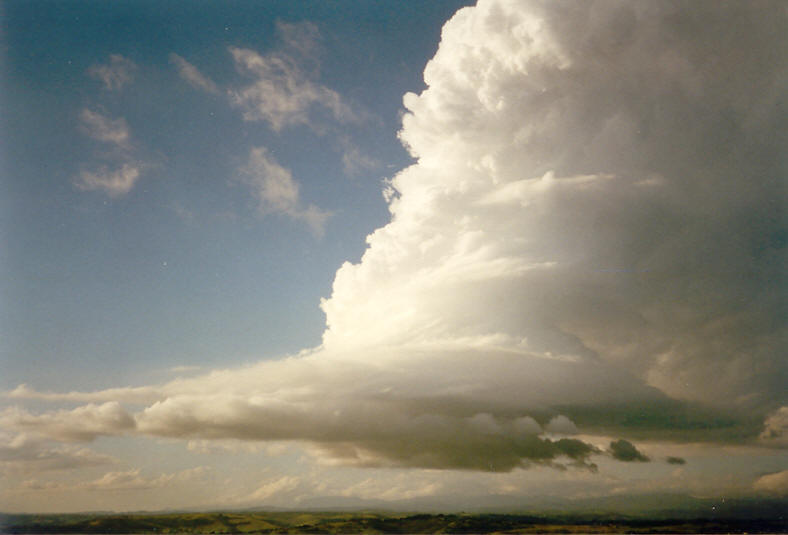 cumulonimbus thunderstorm_base : McLeans Ridges, NSW   23 November 2003