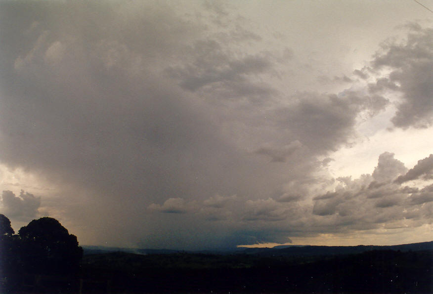 thunderstorm cumulonimbus_incus : McLeans Ridges, NSW   23 January 2004