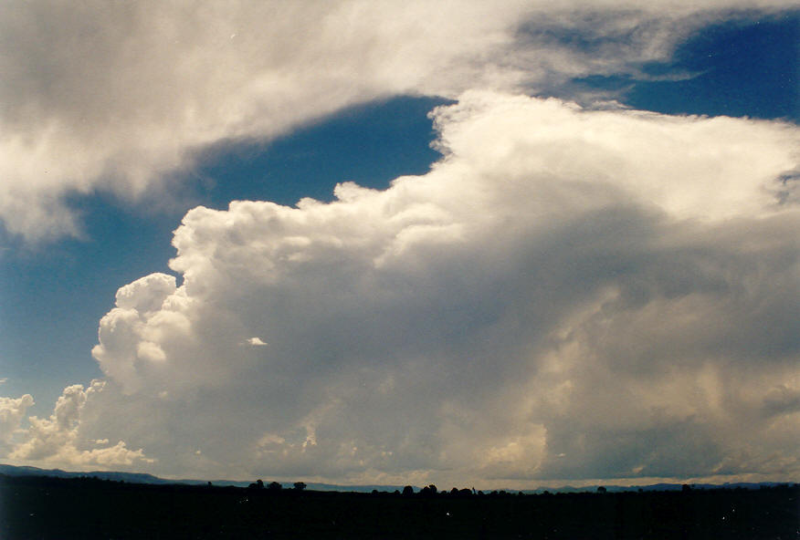thunderstorm cumulonimbus_incus : S of Kyogle, NSW   26 January 2004