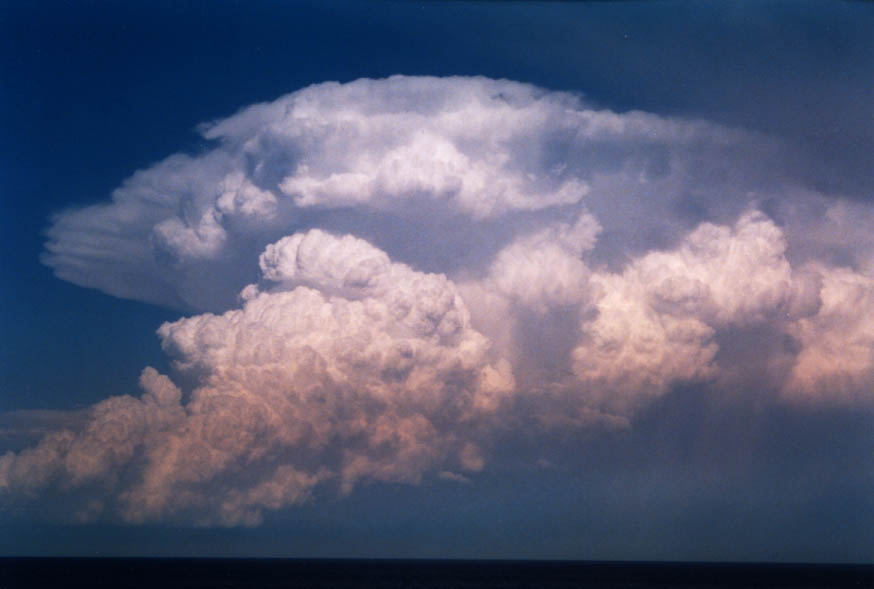 anvil thunderstorm_anvils : near Manly, NSW   30 January 2004