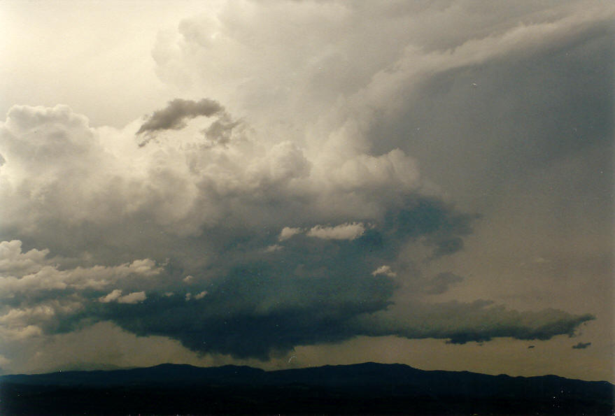wallcloud thunderstorm_wall_cloud : McLeans Ridges, NSW   30 January 2004