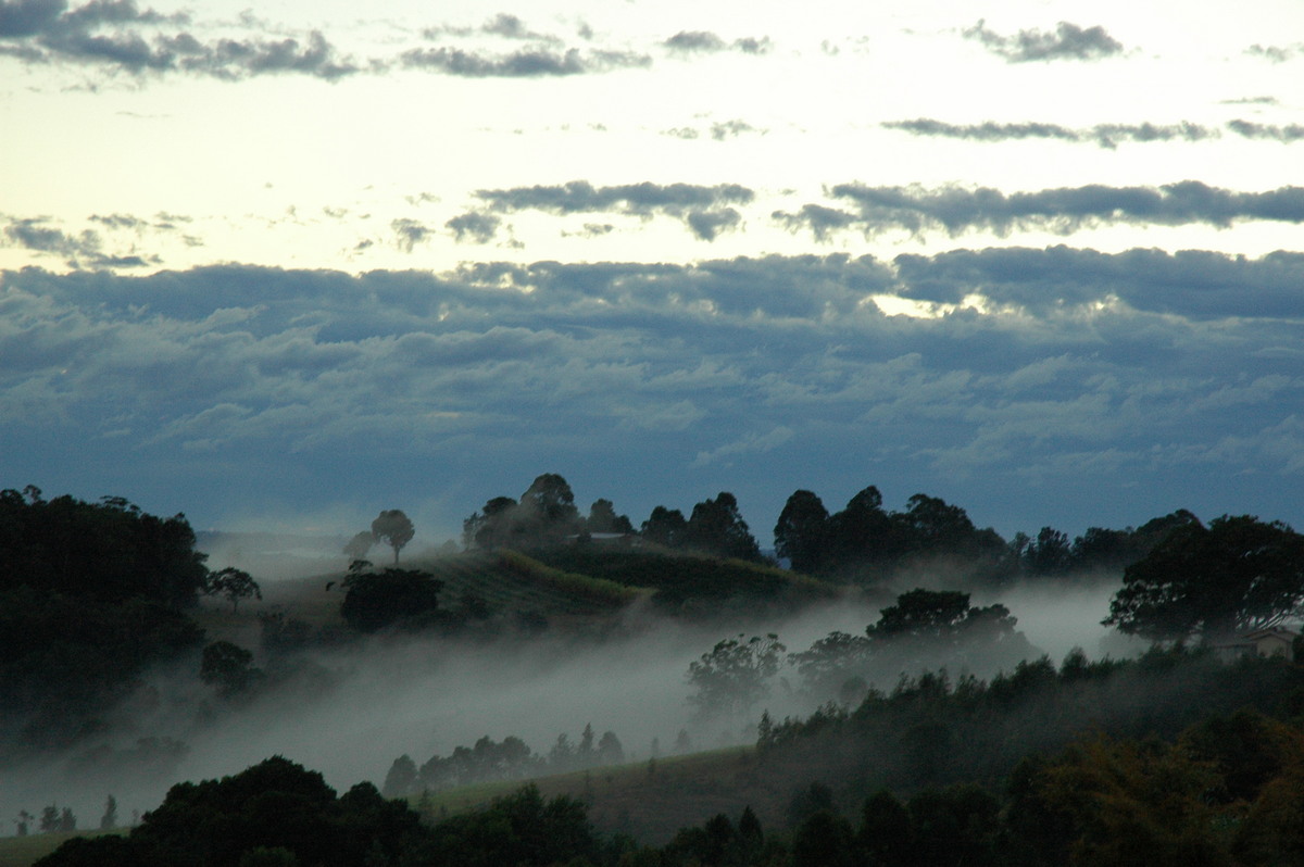 fogmist fog_mist_frost : McLeans Ridges, NSW   27 July 2004