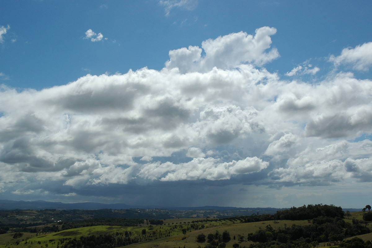 thunderstorm cumulonimbus_calvus : McLeans Ridges, NSW   4 September 2004