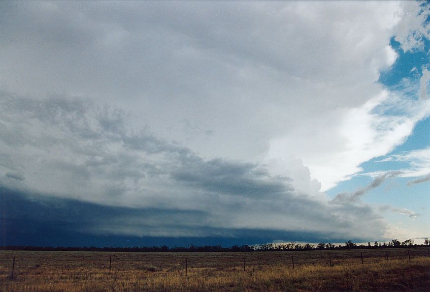 thunderstorm cumulonimbus_incus : 20km W of Nyngan, NSW   7 December 2004