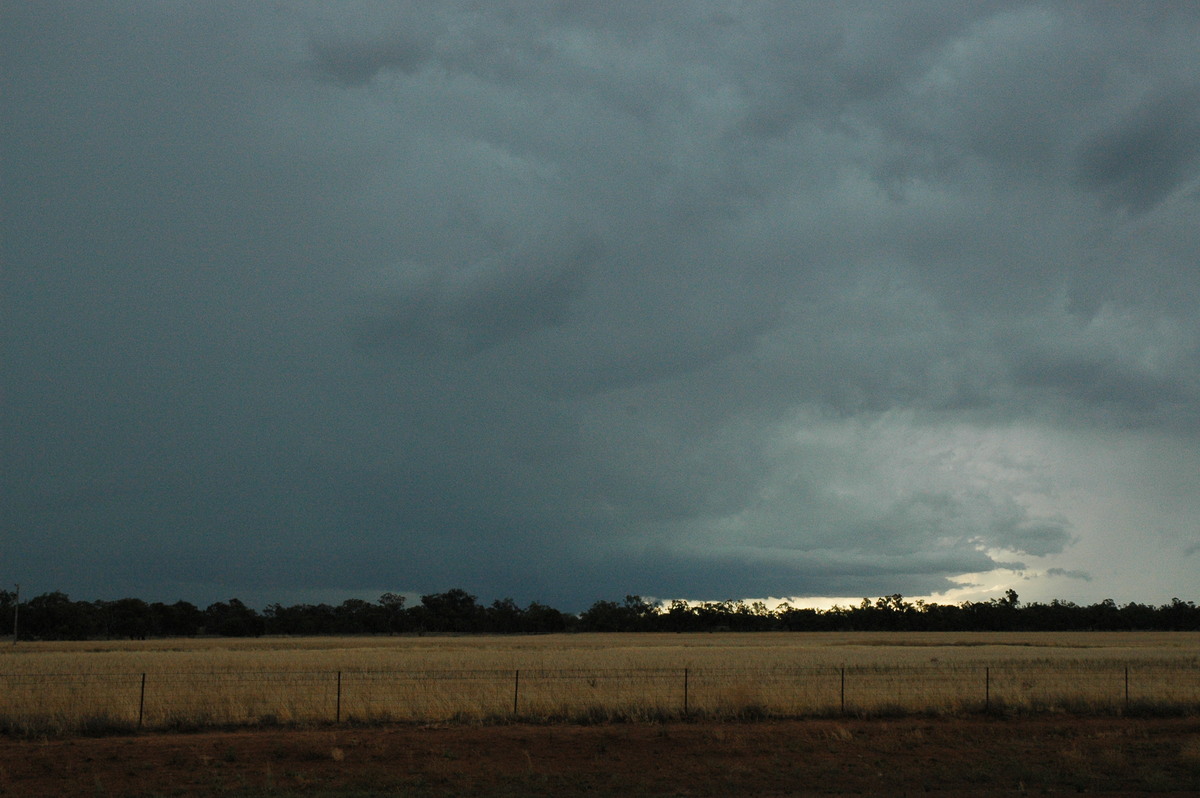cumulonimbus supercell_thunderstorm : Quambone, NSW   7 December 2004