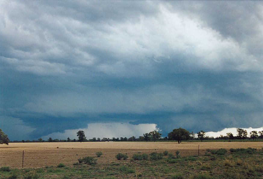 wallcloud thunderstorm_wall_cloud : 40km SW of Walgett, NSW   8 December 2004