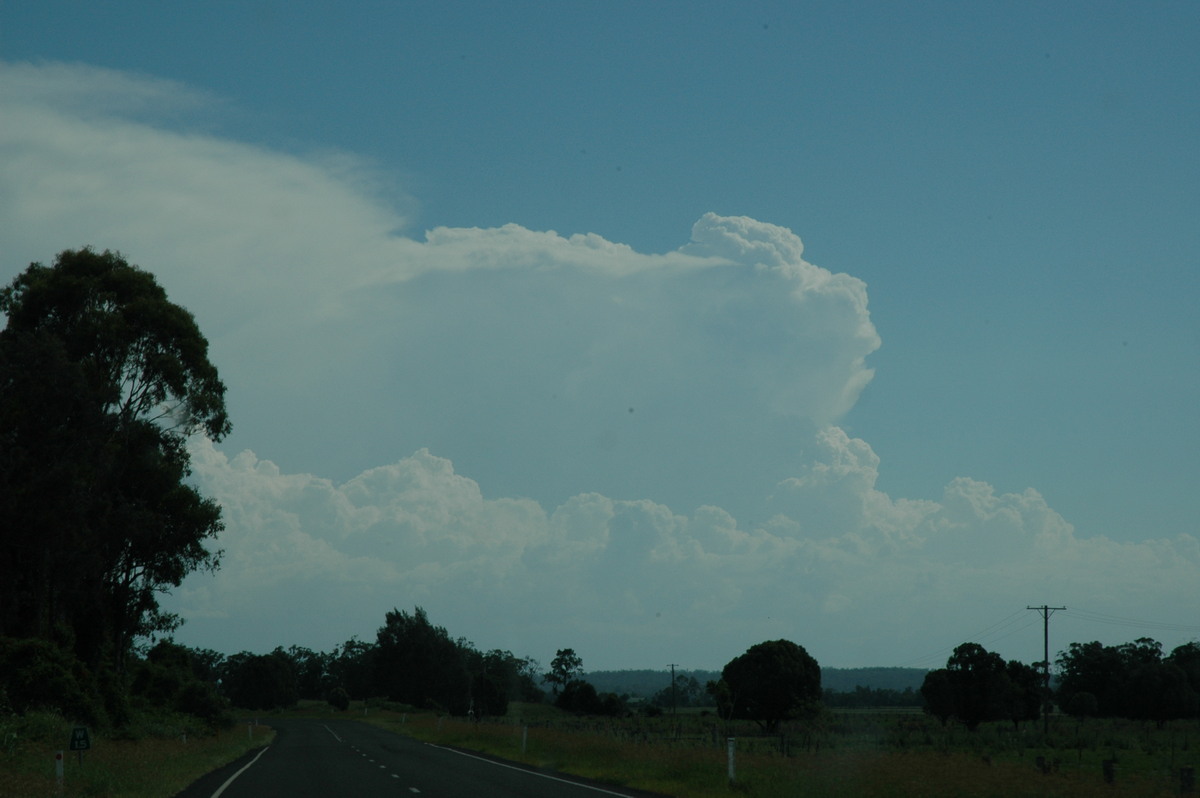 thunderstorm cumulonimbus_calvus : Coraki, NSW   19 December 2004