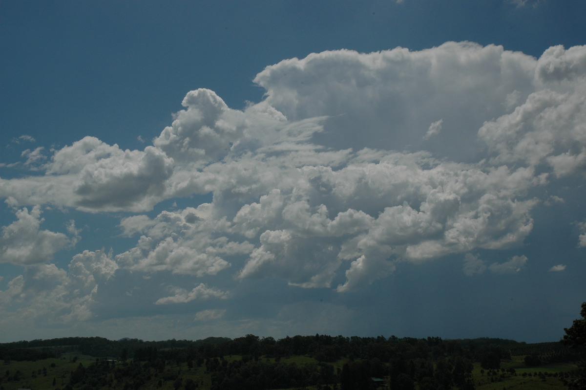 thunderstorm cumulonimbus_incus : McLeans Ridges, NSW   23 December 2004