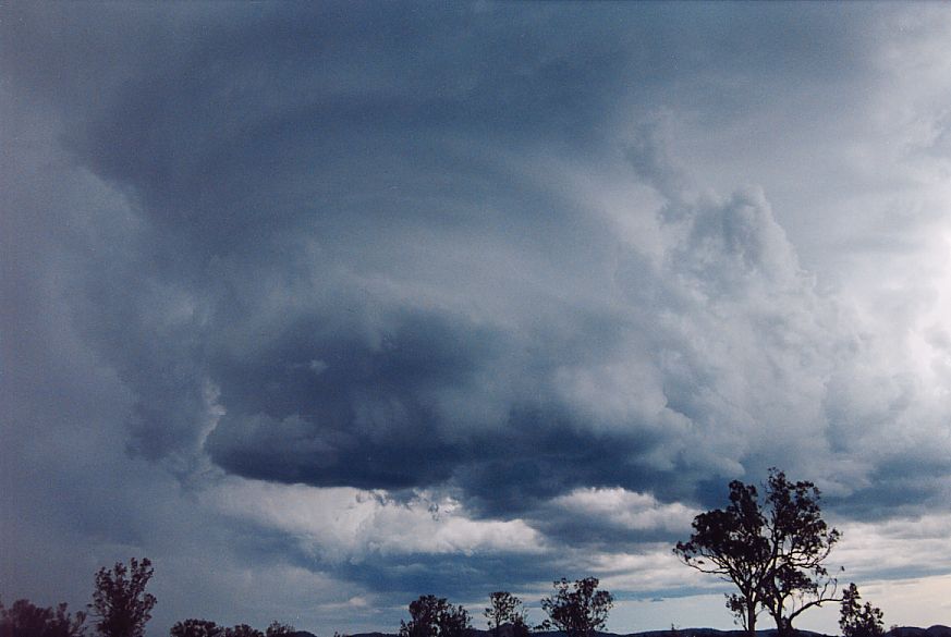 updraft thunderstorm_updrafts : near Boggabri, NSW   25 December 2004