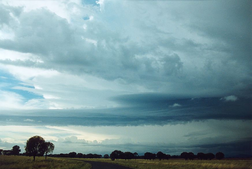 cumulonimbus supercell_thunderstorm : NE of Narrabri, NSW   27 December 2004