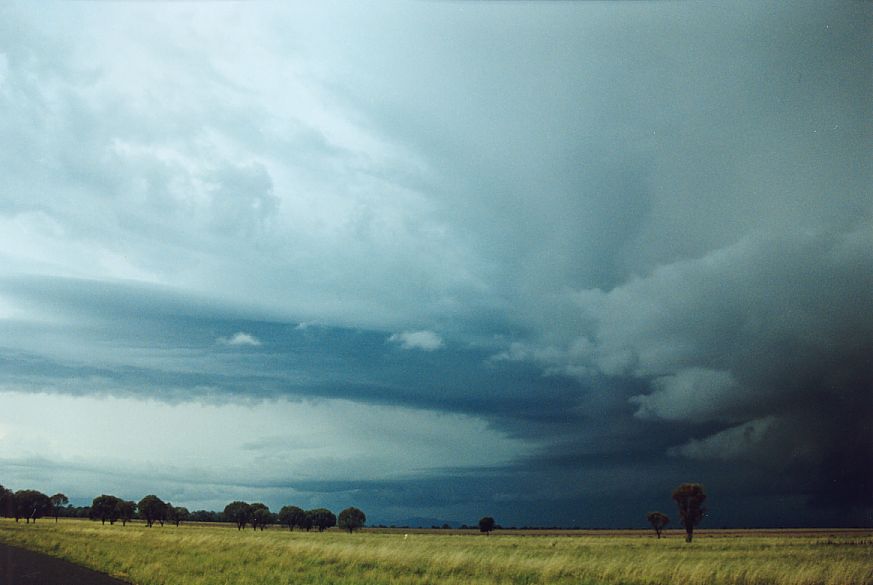 cumulonimbus thunderstorm_base : NE of Narrabri, NSW   27 December 2004