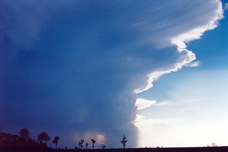updraft thunderstorm_updrafts : Penrith, NSW   1 February 2005