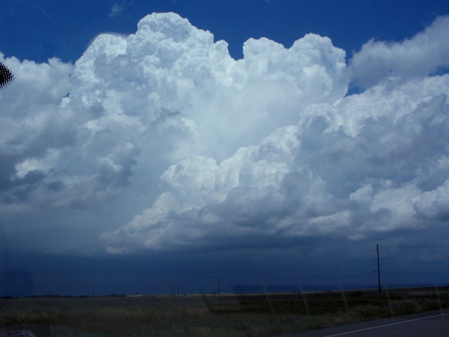 cumulonimbus supercell_thunderstorm : Bellview, New Mexico, USA   31 May 2005