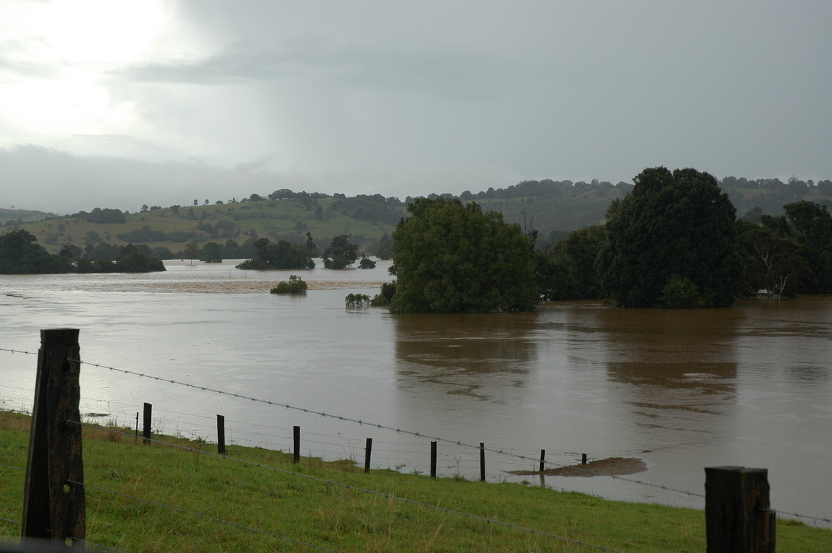flashflooding flood_pictures : Eltham, NSW   30 June 2005