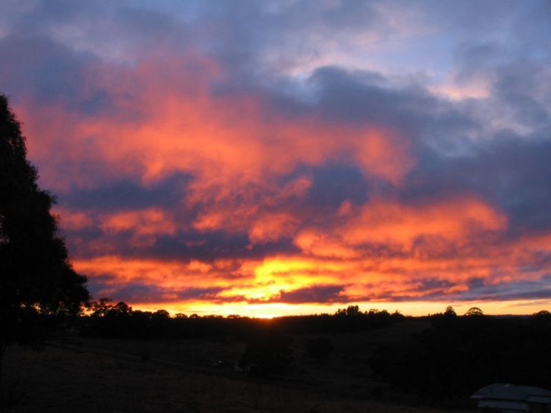 sunrise sunrise_pictures : near Hampton, NSW   15 July 2005