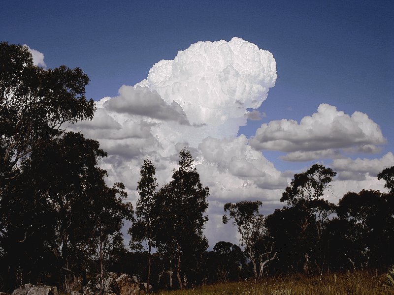 cumulus humilis : Walcha, NSW   20 November 2005