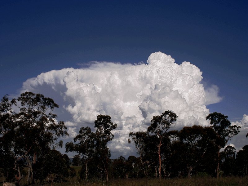 thunderstorm cumulonimbus_incus : Walcha, NSW   20 November 2005