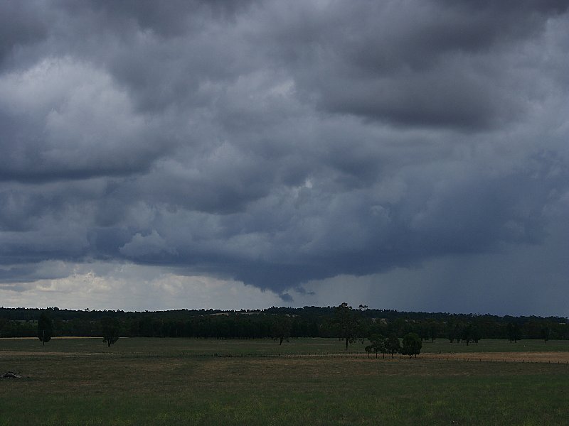 cumulonimbus supercell_thunderstorm : W of Mendoran, NSW   25 November 2005