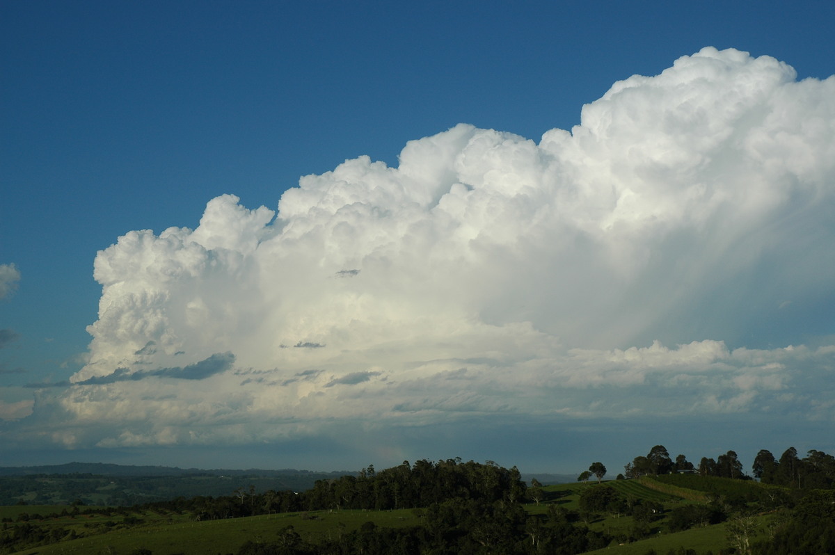 cumulonimbus supercell_thunderstorm : McLeans Ridges, NSW   17 December 2005