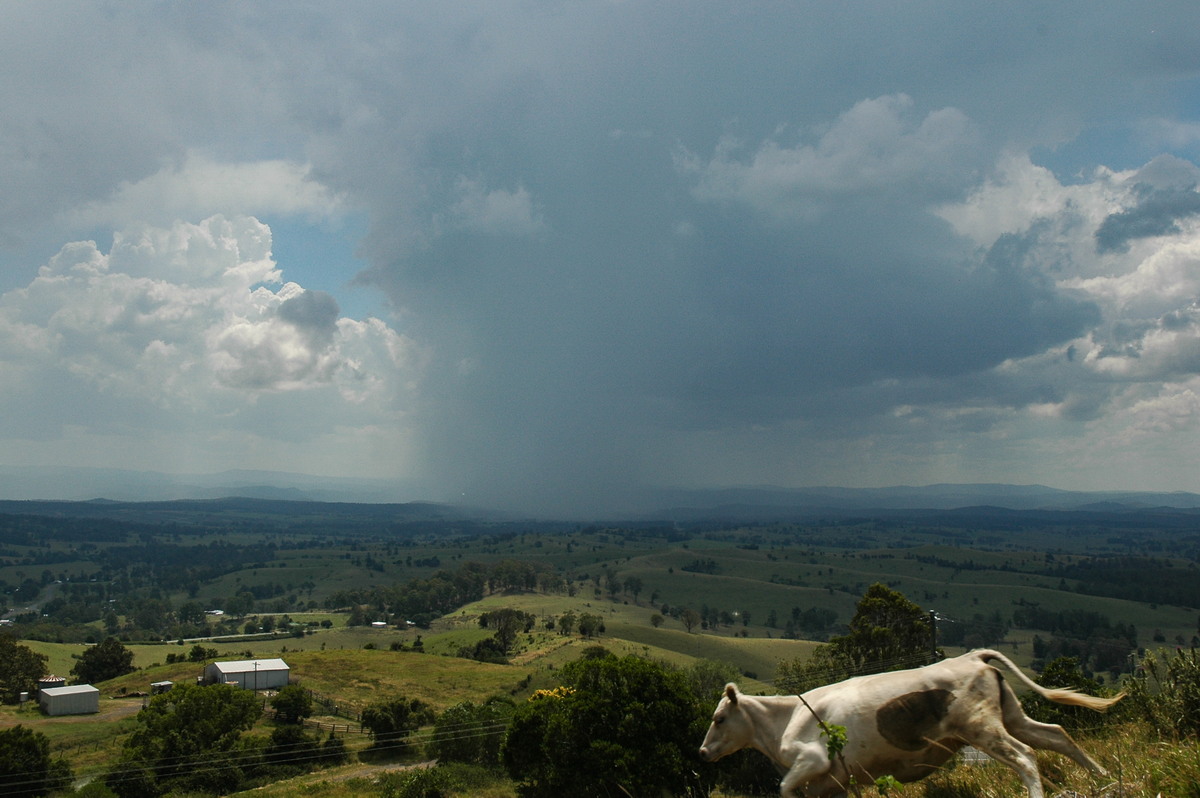 raincascade precipitation_cascade : Mallanganee NSW   27 December 2005