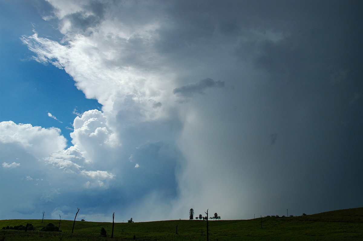 thunderstorm cumulonimbus_incus : near Bonalbo, NSW   27 December 2005