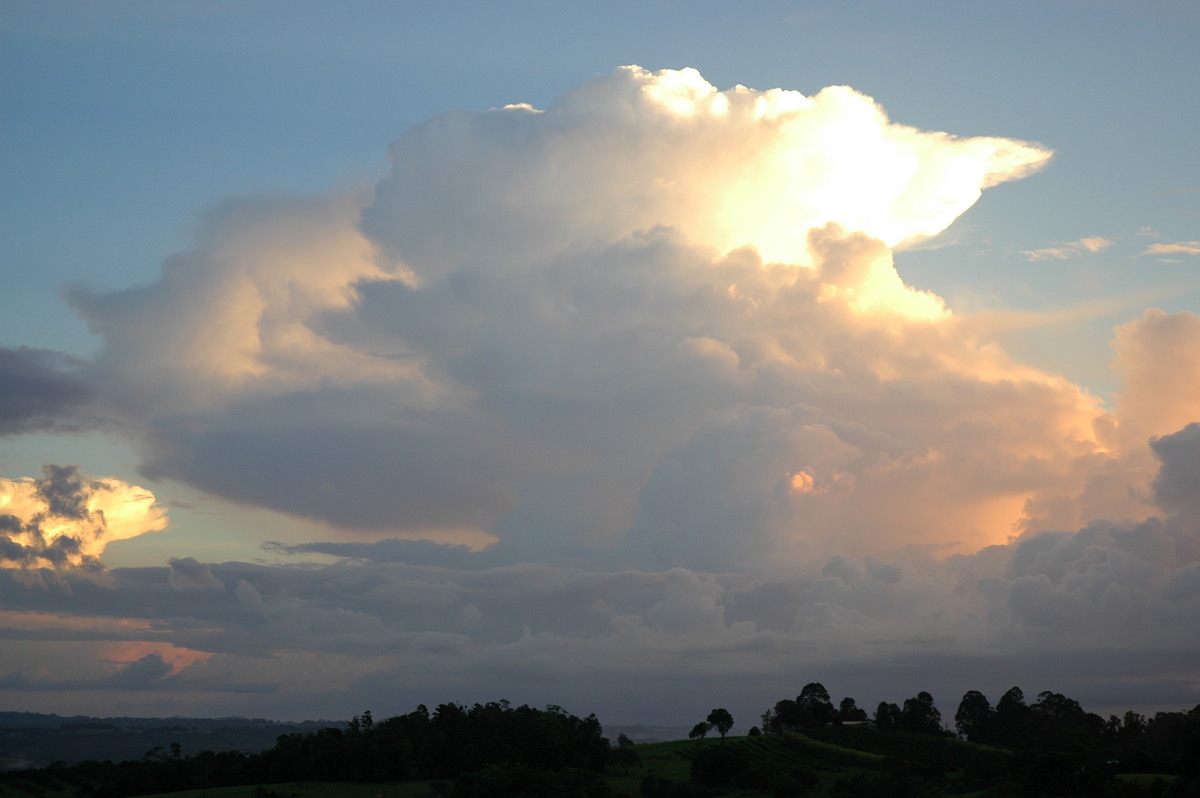 thunderstorm cumulonimbus_incus : McLeans Ridges, NSW   10 January 2006