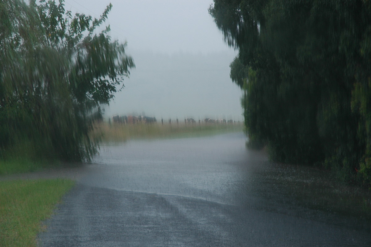 precipitation precipitation_rain : McLeans Ridges, NSW   19 January 2006