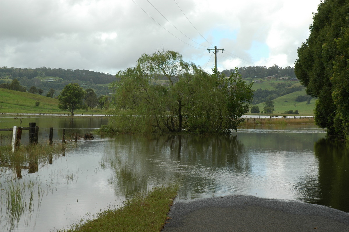 flashflooding flood_pictures : McLeans Ridges, NSW   21 January 2006