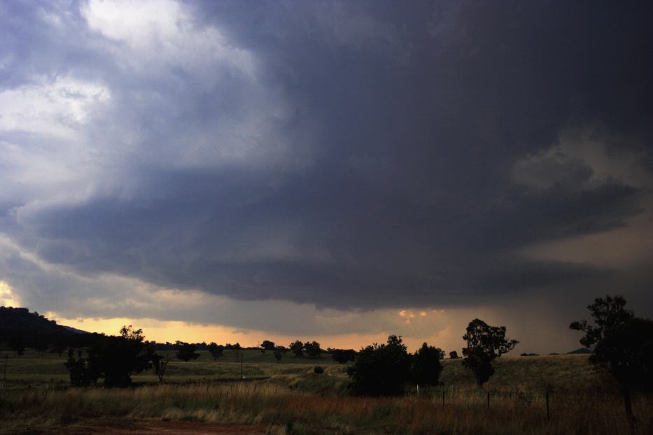 cumulonimbus thunderstorm_base : near Mudgee, NSW   24 January 2006