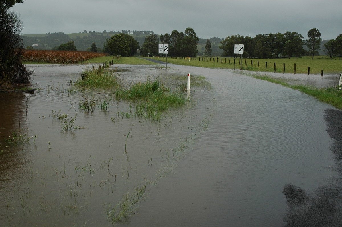 flashflooding flood_pictures : Eltham, NSW   4 March 2006