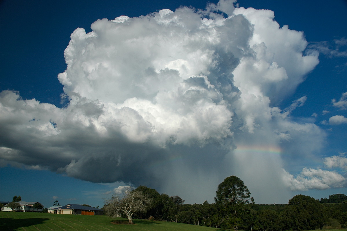 raincascade precipitation_cascade : McLeans Ridges, NSW   4 April 2006