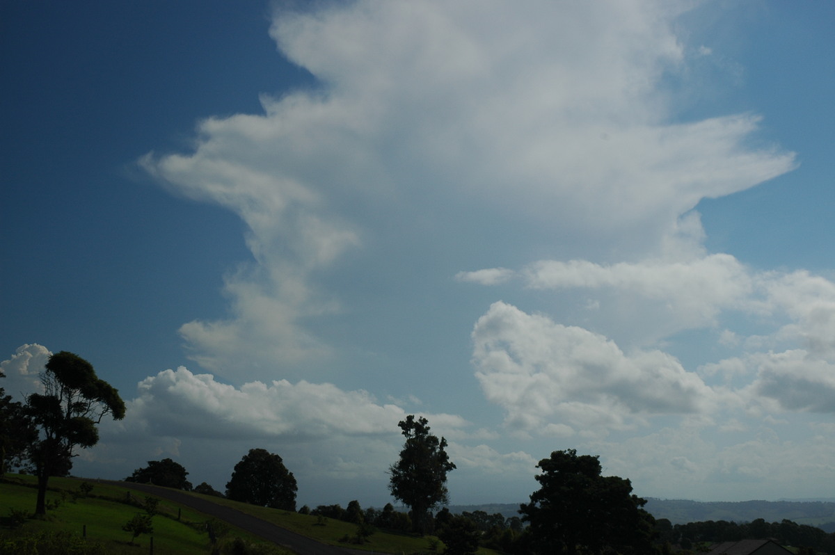 cumulus humilis : McLeans Ridges, NSW   21 April 2006