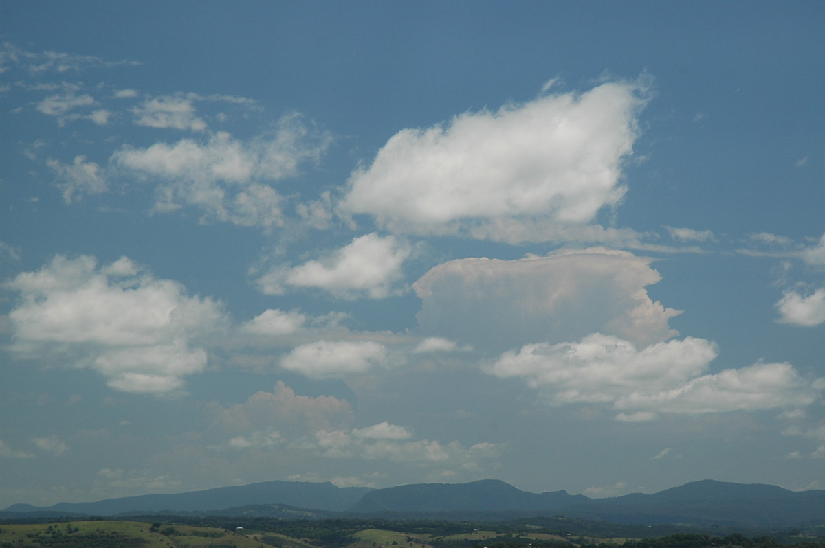 thunderstorm cumulonimbus_calvus : McLeans Ridges, NSW   8 November 2006