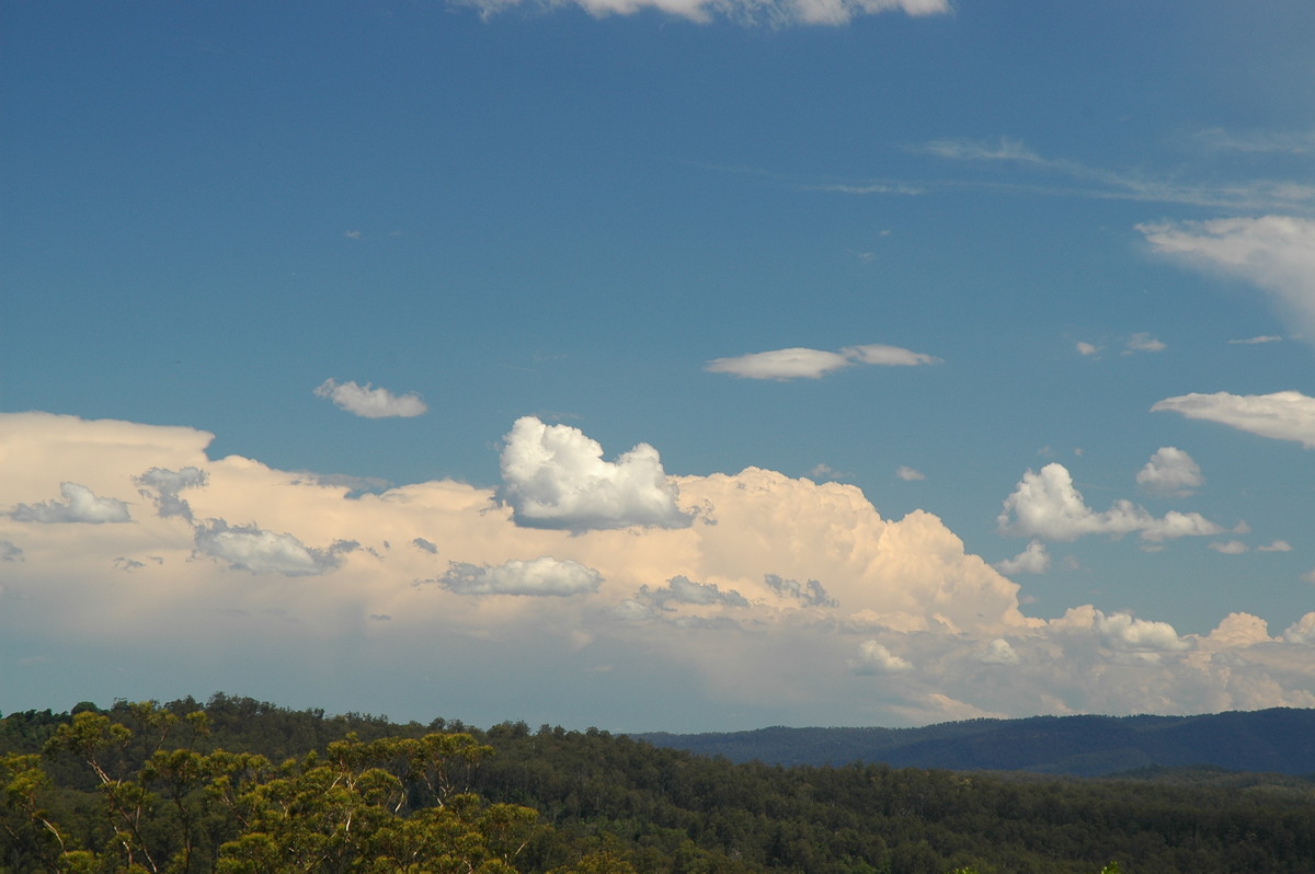 cumulus humilis : Mallanganee NSW   11 November 2006