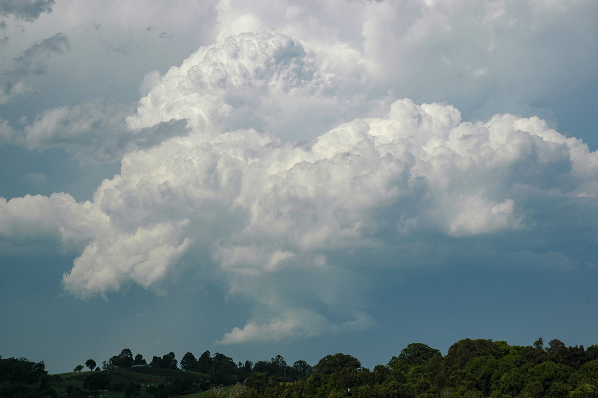 updraft thunderstorm_updrafts : McLeans Ridges, NSW   15 November 2006