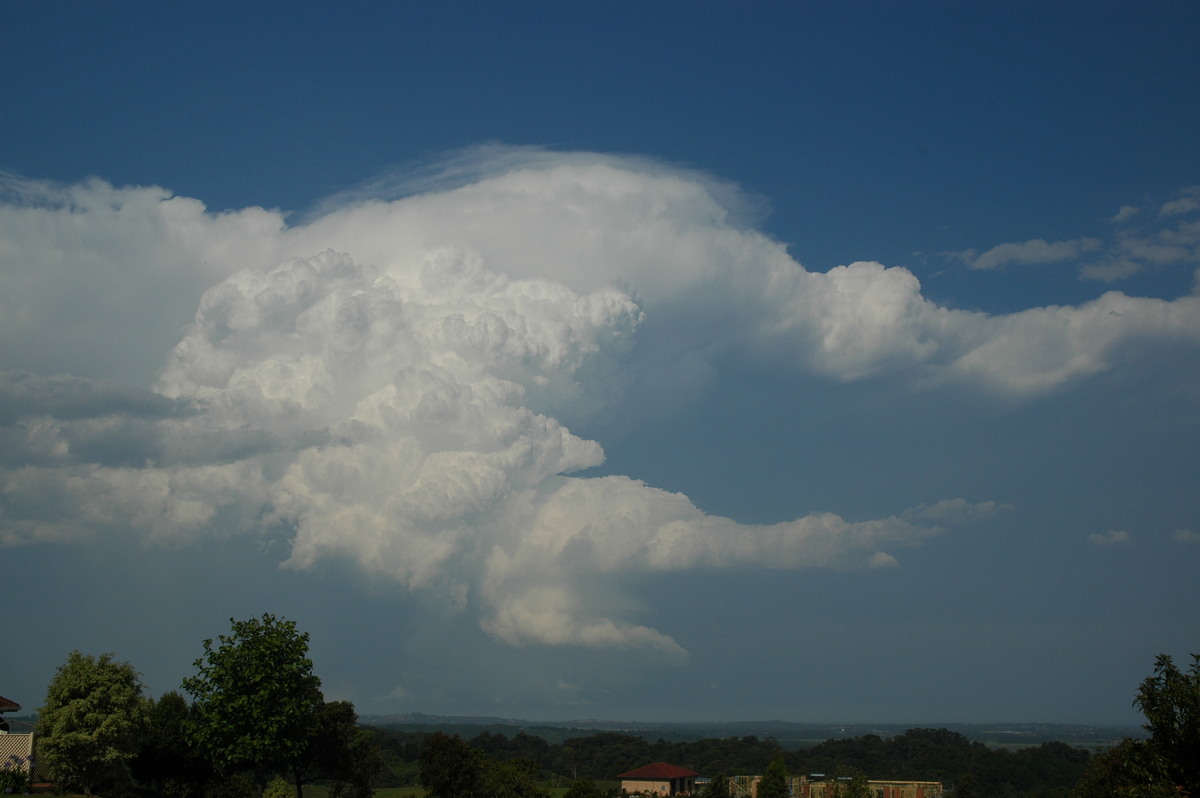 thunderstorm cumulonimbus_incus : Alstonville, NSW   15 November 2006