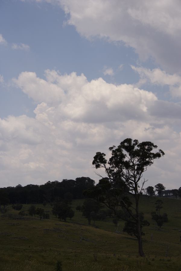 cumulus humilis : SE of Guyra, NSW   27 November 2006