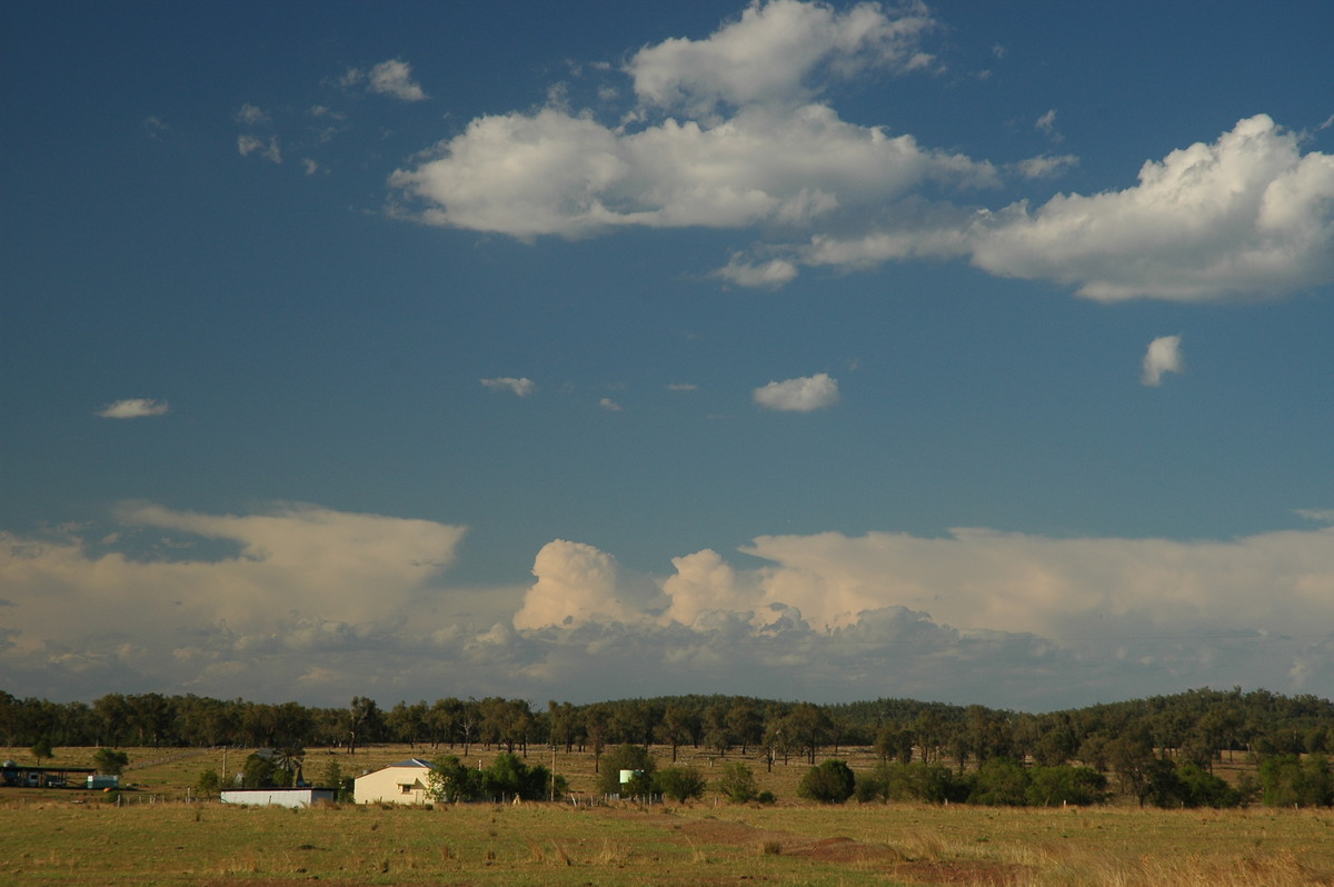 cumulus humilis : near Texas, QLD   16 December 2006