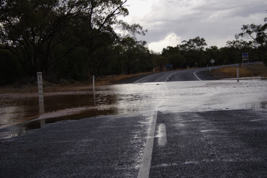 flashflooding flood_pictures : ~40km E of Cobar, NSW   1 January 2007